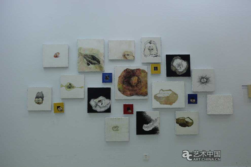 2013魯迅美術學院畢業展,魯迅美術學院畢業展,魯迅美術學院,畢業展,2013魯迅美院畢業展,魯迅美院畢業展,美院畢業展