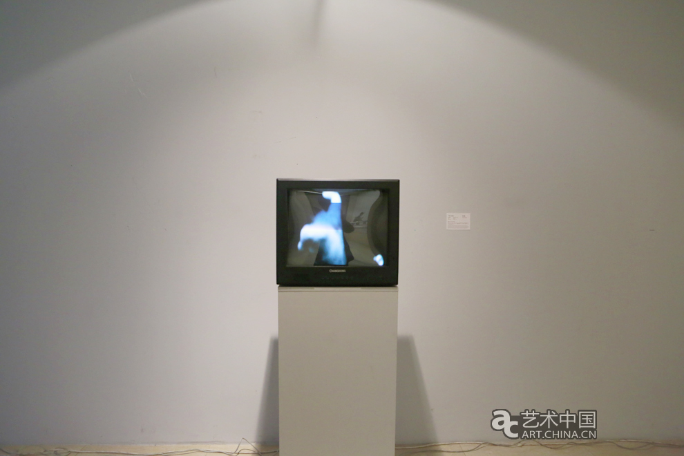 2014魯迅美術學院畢業展,2014魯迅美院畢業展,魯迅美術學院畢業展,魯迅美院畢業展,2014魯迅美院,畢業展,2014魯迅美術學院,魯迅美院畢業設計展,畢業設計展,美院畢業展